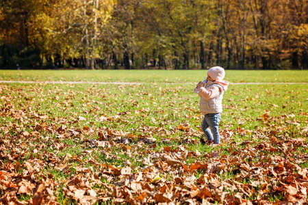 One and a half year old baby girl standing in the meadow covered with fallen leaves, drinking water from the bottleの写真素材