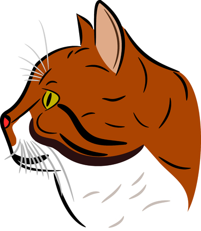 Brown Cat Headのイラスト素材