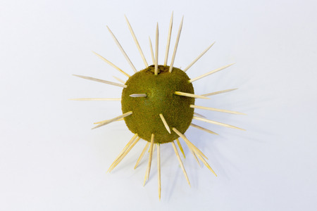 Green kiwi fruit isolated on white backgroundの写真素材