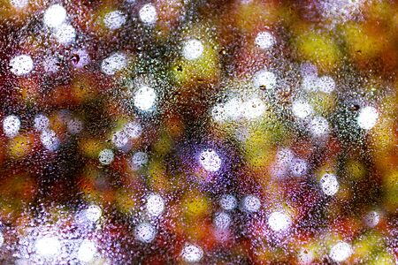Water and rain drops on the glass. Abstract view background. Drops on glass after rain