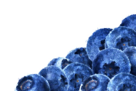 Many juicy and fresh blueberries on white background. Blue color blueberries close-up. Image of blueberries with high resolution. Watercolor aquarelle drawing sketch painting blueberryの写真素材