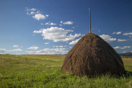 Nature in the Ukrainian Carpathiansの写真素材