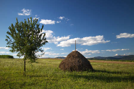 Nature in the Ukrainian Carpathiansの写真素材