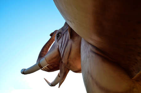 Erawan  Sky backgroundの写真素材