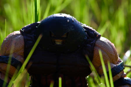 juggernout mavel in the gardenのeditorial素材