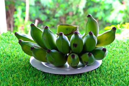 Green bananas lay on the white plate and set it on the grass.の写真素材