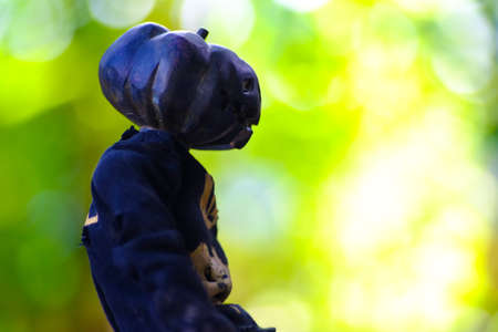 Halloween with Zombie a pumpkin head on pastureの写真素材