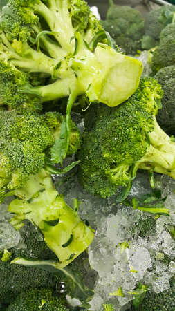 close up Broccoli or Brassica oleracea var, background and texture