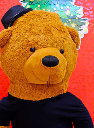 Brown teddy bear wearing a coat and hat.の写真素材