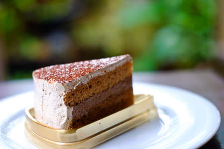 Cake cappuccino on a nature backgroundの写真素材