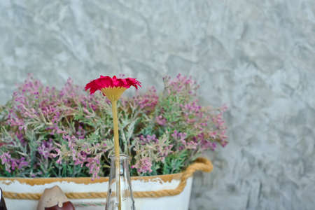 Pink eustoma flowers on gray concrete wallpaper selective focus, shabby chic style, space for custom text.の写真素材