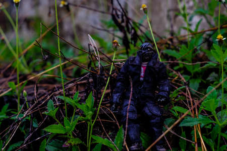 Scary Halloween with zombie glowing inside at nature backgroundの写真素材