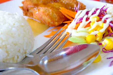 Chicken fried rice with salad on white plateの写真素材