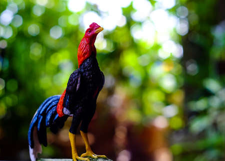 Chicken statue in the morning on the background of bokeh Nature (gamecock)の写真素材