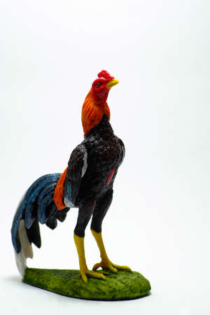 Chicken statue in the morning on white background (gamecock)の写真素材