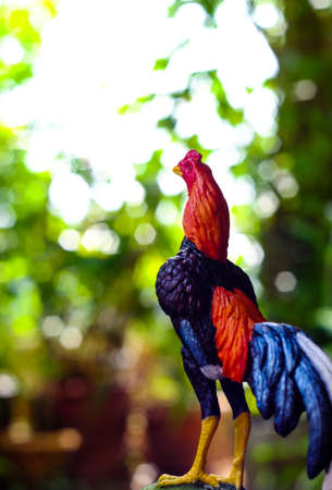 Chicken statue in the morning on the background of bokeh Nature (gamecock)の写真素材
