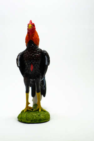 Chicken statue in the morning on white background (gamecock)の写真素材