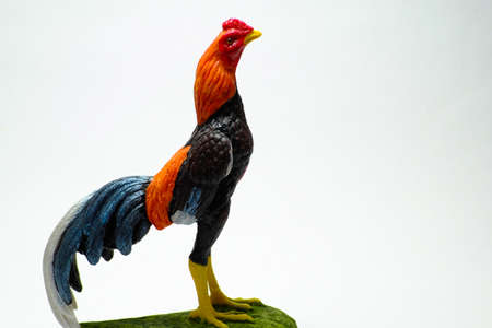 Chicken statue in the morning on white background (gamecock)の写真素材