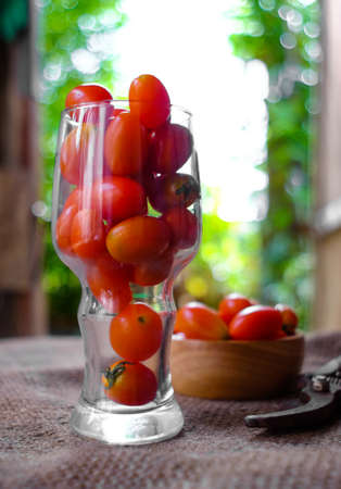 Red tomatoes in glass placed on a hemp sack.の写真素材