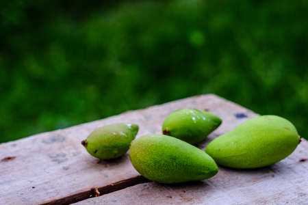 Mango tropical fruit on wood backgroundの写真素材