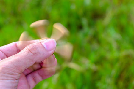 closeup of a young caucasian man playing with a brass fidget spinner, on nature background