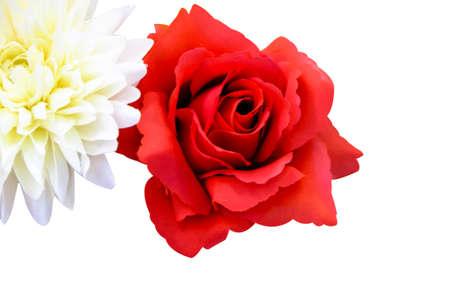 Fake colorful rose flowers decoration, Floral backgroundの写真素材