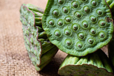 Lotus seeds green on hemp sack backgroundの写真素材
