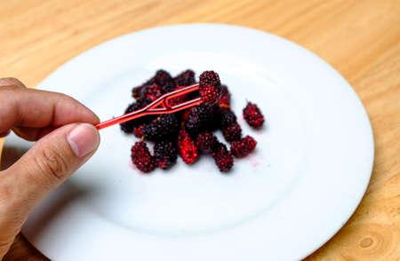 Black mulberry close-up, on white plate backgroundの写真素材
