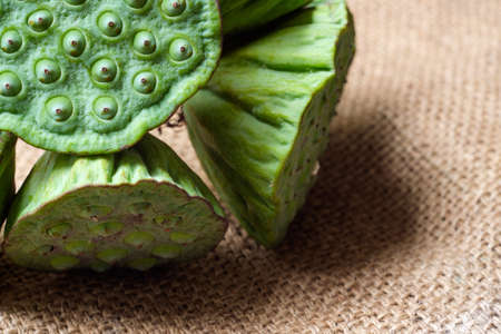 Lotus seeds green on hemp sack backgroundの写真素材