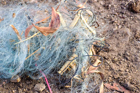 Fishing Nets