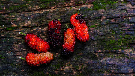 Mulberry and leaves on old wooden background,Red and black berry fruit.の写真素材