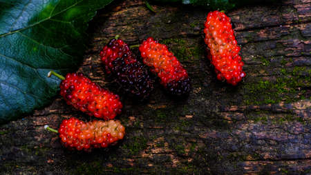 Mulberry and leaves on old wooden background,Red and black berry fruit.の写真素材