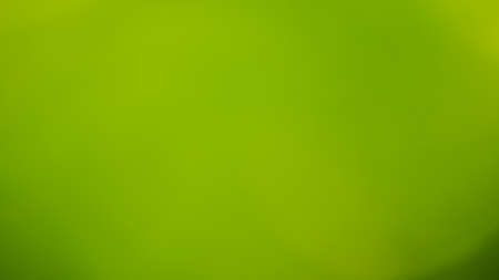 Abstract circular green bokeh background. Natural greenの写真素材
