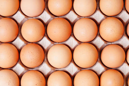 top view fresh chicken Eggs in paper tray isolated on white background.