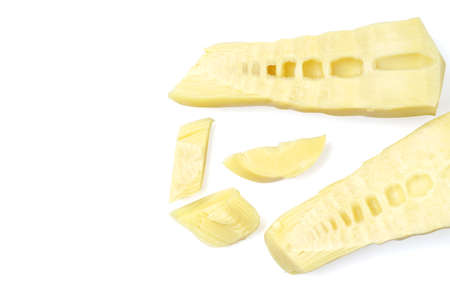 bamboo shoot isolated on white background. boiled bamboo shoots can be cooked in a variety of types