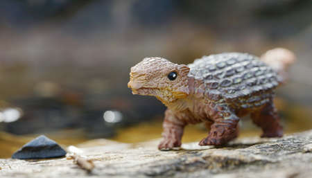 Ankyrosaurus dinosaurs little on nature background. closeup dinosaur and monster model. the dinosaur...