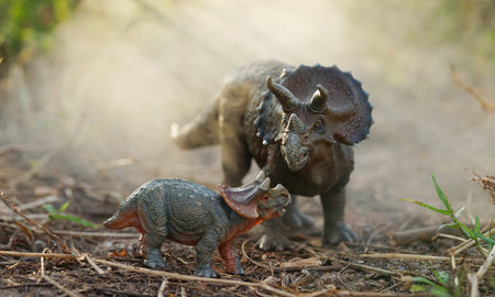 Triceratop dinosaurs with baby in a misty forest. on nature background. closeup dinosaur and monster model .の写真素材