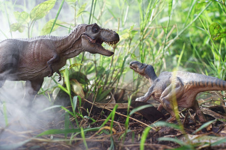Tyrannosaurus rex dinosaurs is fighting Iguanodon in a misty forest. on nature background. closeup dinosaur and monster model .の写真素材