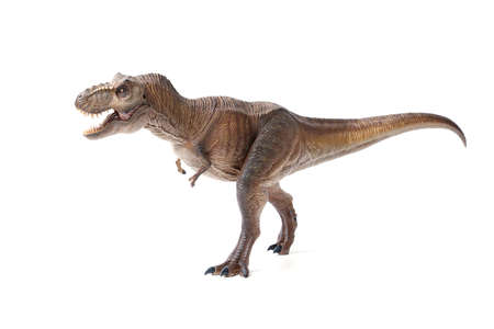 Tyrannosaurus rex dinosaurs toy brown isolated on white background. closeup dinosaur and monster model .の写真素材