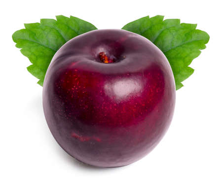 Isolated plums fruit. Fresh red plums fruit with leaves on white background.の写真素材