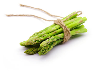 Fresh green asparagus With a rope tied in the middle isolated on white background.の写真素材