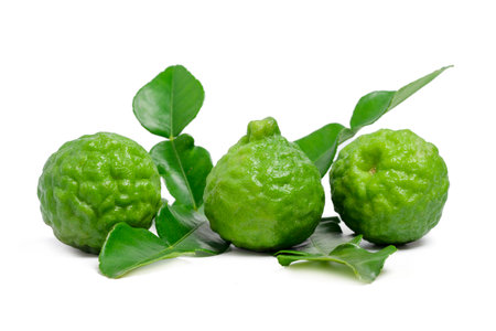 Isolated bergamot fruit. Fresh bergamot fruit with leaf on white background.
