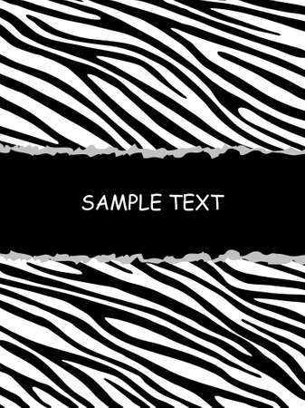 Zebra backgroundのイラスト素材