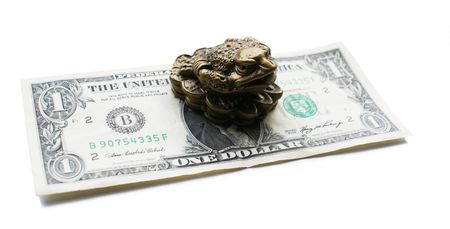 frog sitting on the dollar for moneyの写真素材