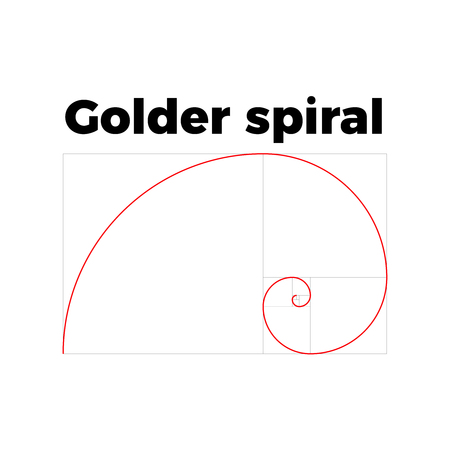 golden ratio section  vector illustration Fibonacci  rectangleのイラスト素材