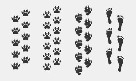 Foot print vector set animals  dog cat bear and humanのイラスト素材