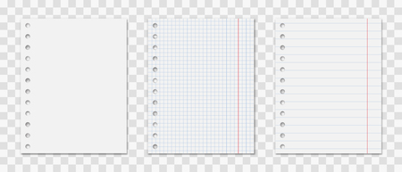 Notepad sheet with holes set . Realistic  notes .のイラスト素材