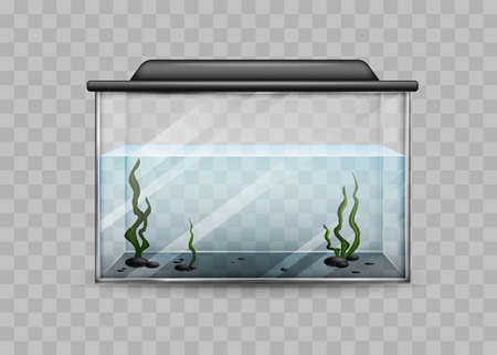 Transparent aquarium with water and algae isolated template. Rectangular container with black backlight lid and green underwater plants water world at home and vector office.のイラスト素材