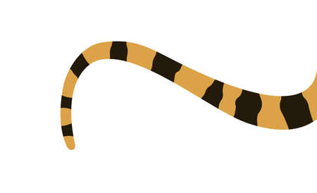 Striped cat tail. Tiger yellow black predator coloring book minimalist design for template and...