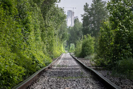Natural tunnel with Railway Road formed by Trees.